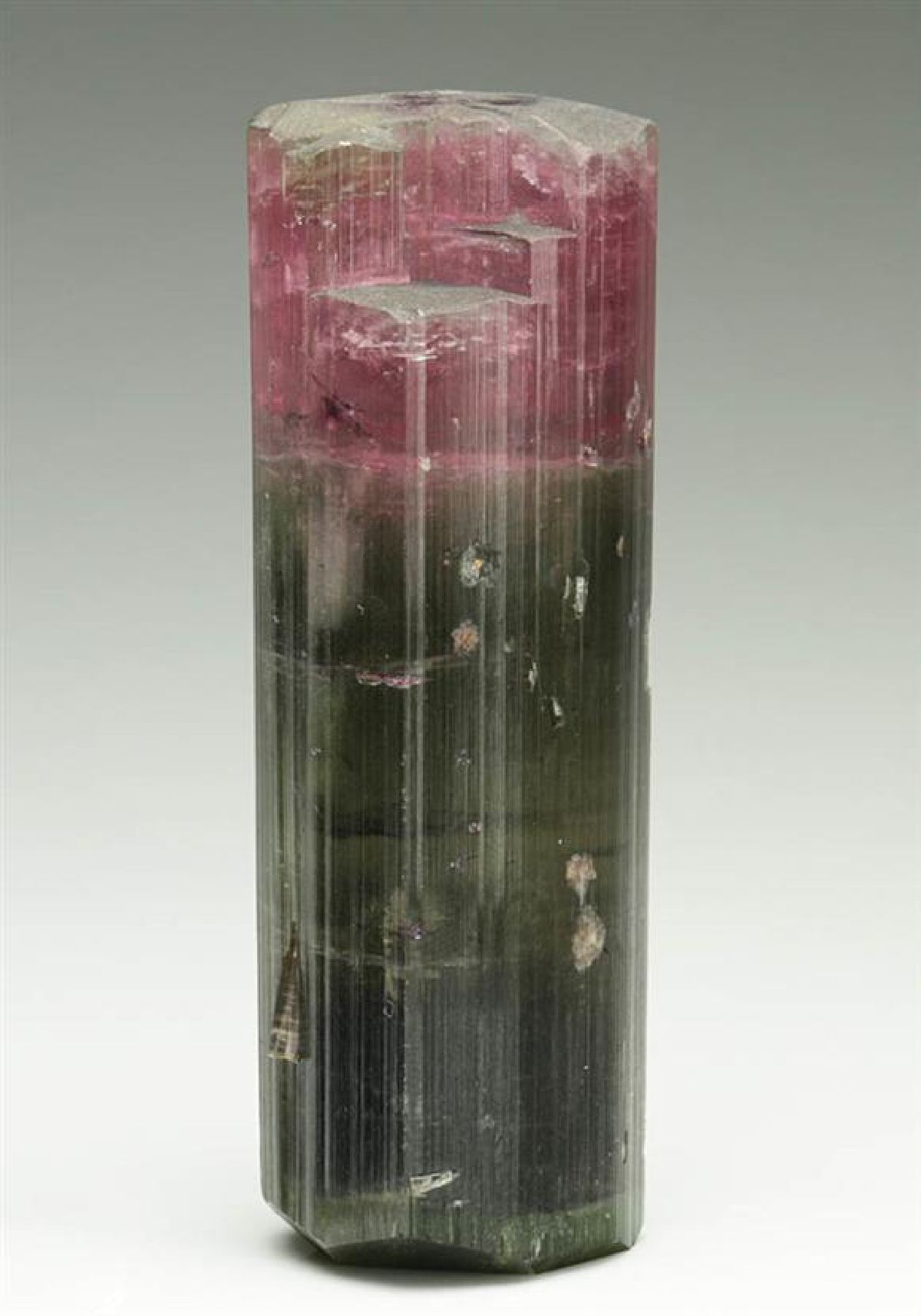 CC6405 specimen image