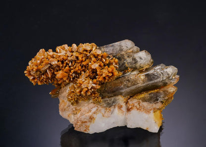 CC64050 specimen image