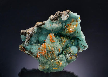 CC64059 specimen image