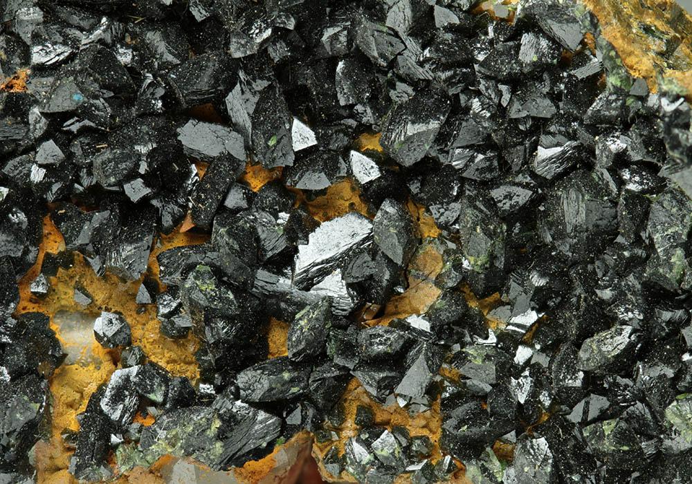 CC6406 specimen image