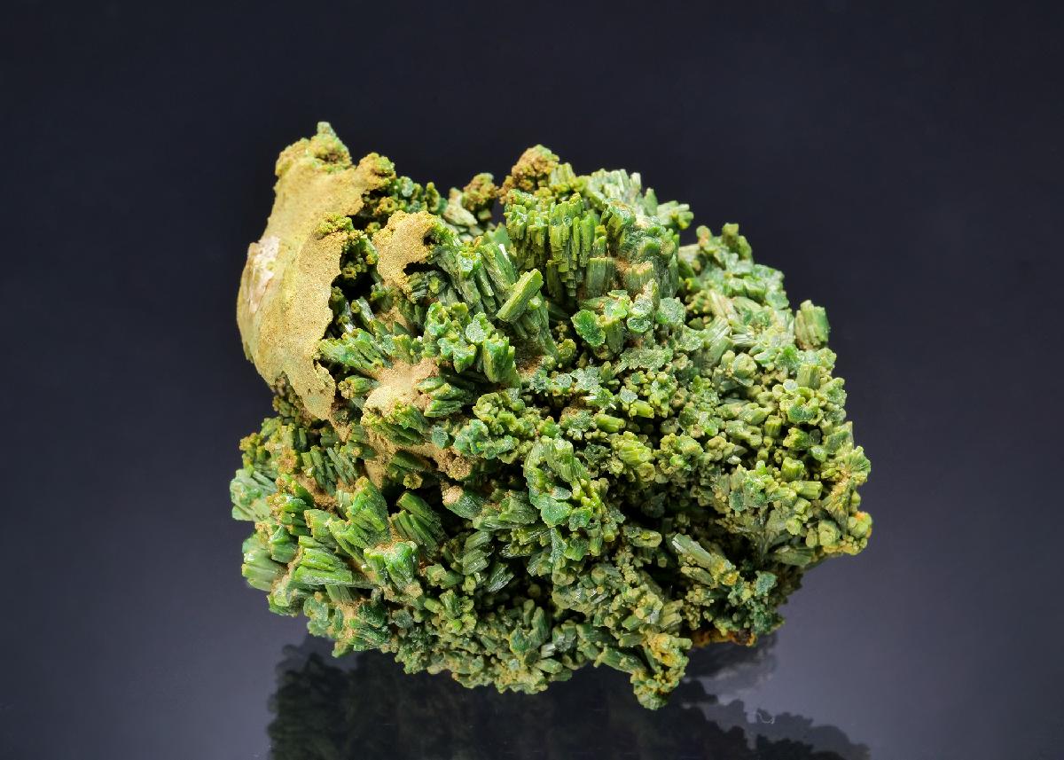CC64086 specimen image