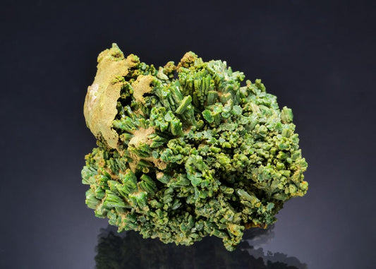 CC64086 specimen image