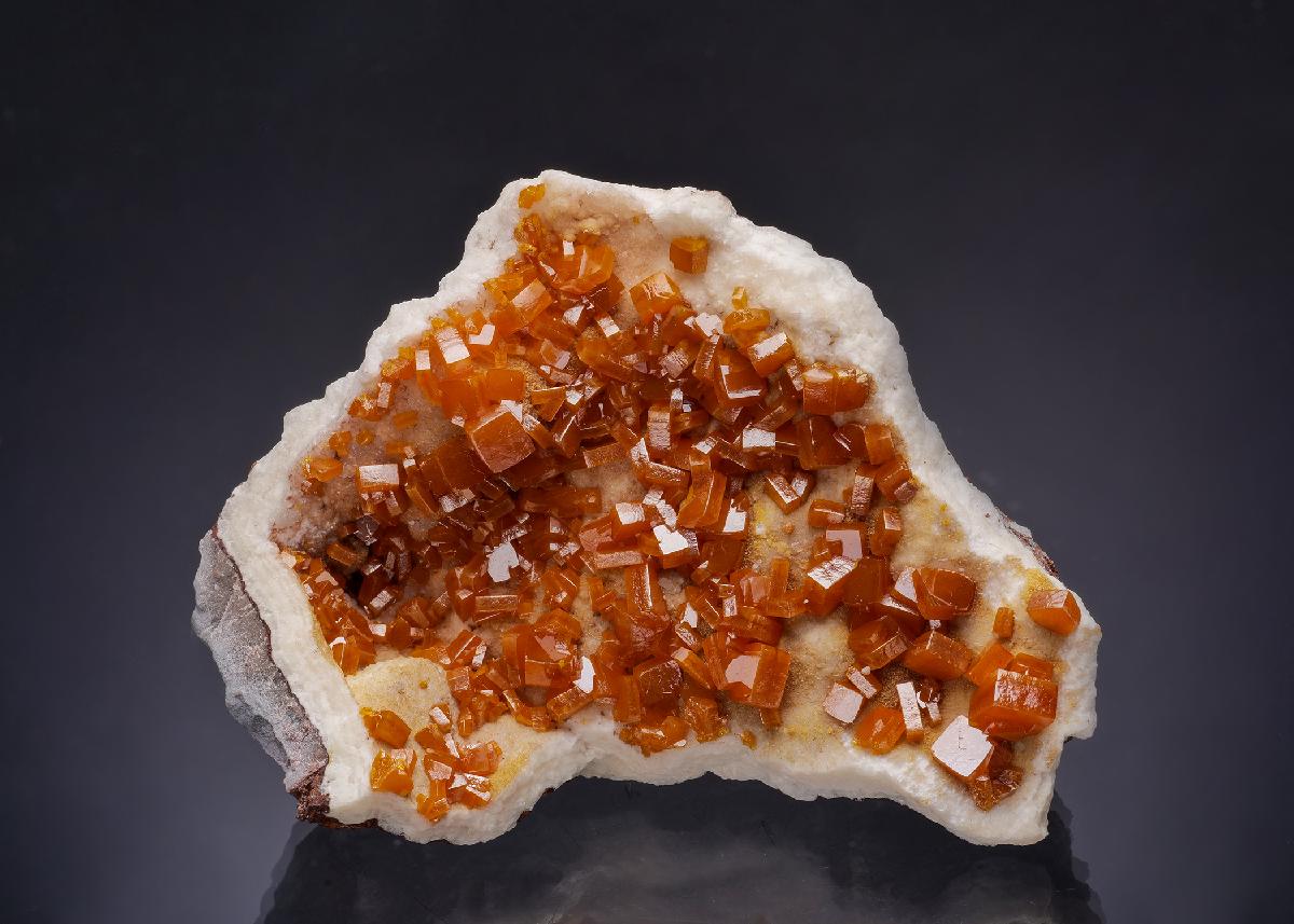 CC64101 specimen image