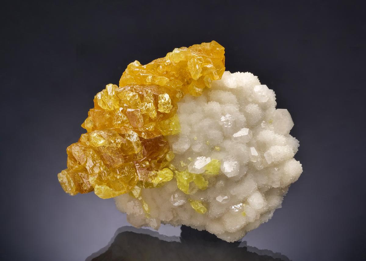 CC64104 specimen image