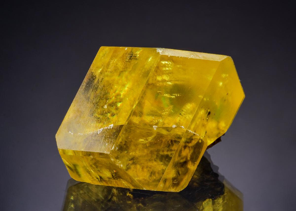 CC64110 specimen image