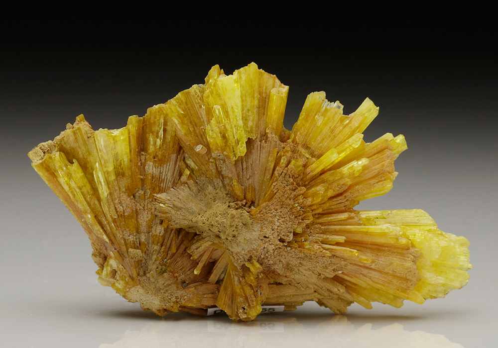 CC6426 specimen image
