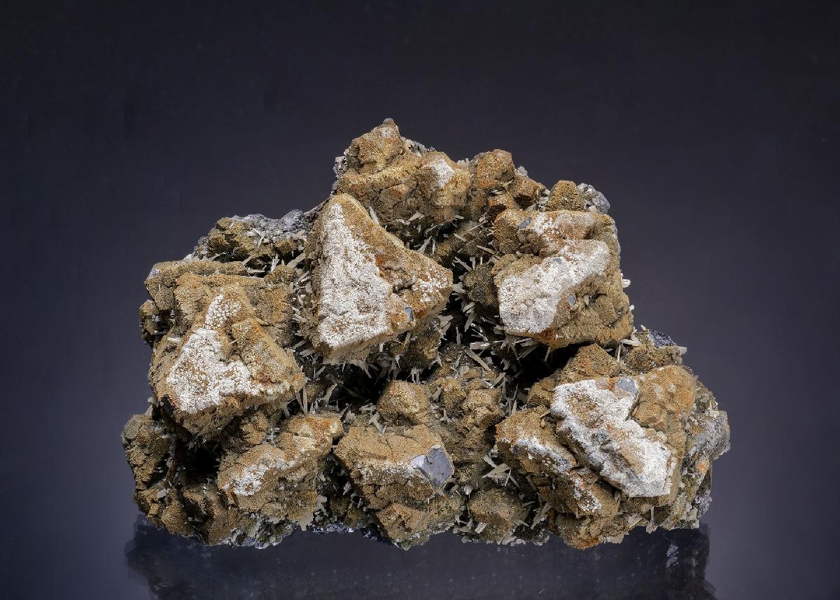 CC64302 specimen image