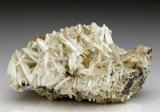 CC6432 specimen image
