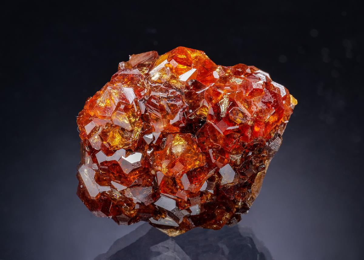 CC64344 specimen image