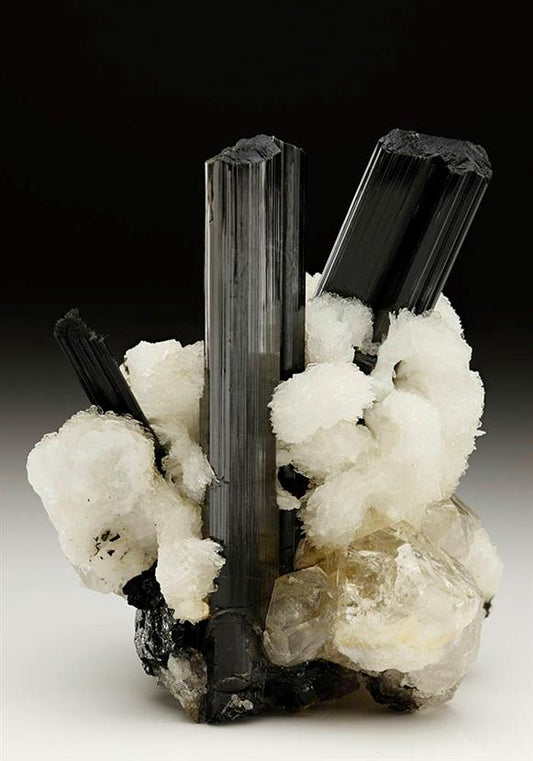 CC6438 specimen image