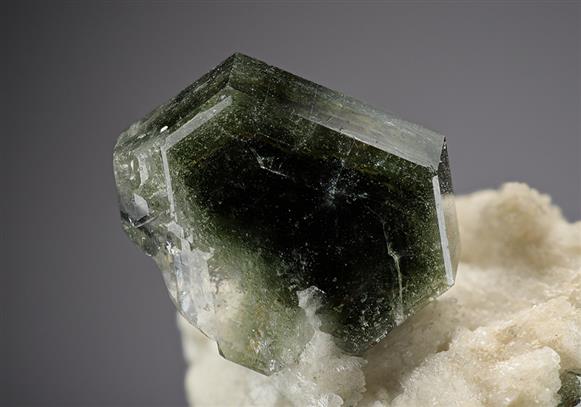 CC6454 specimen image