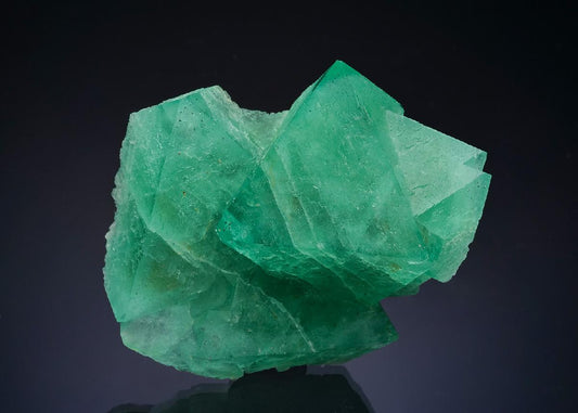 CC64656 specimen image