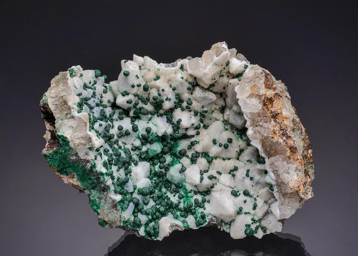 CC64710 specimen image