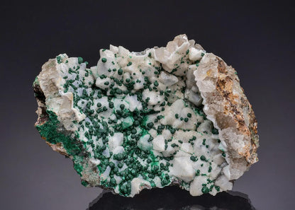CC64710 specimen image