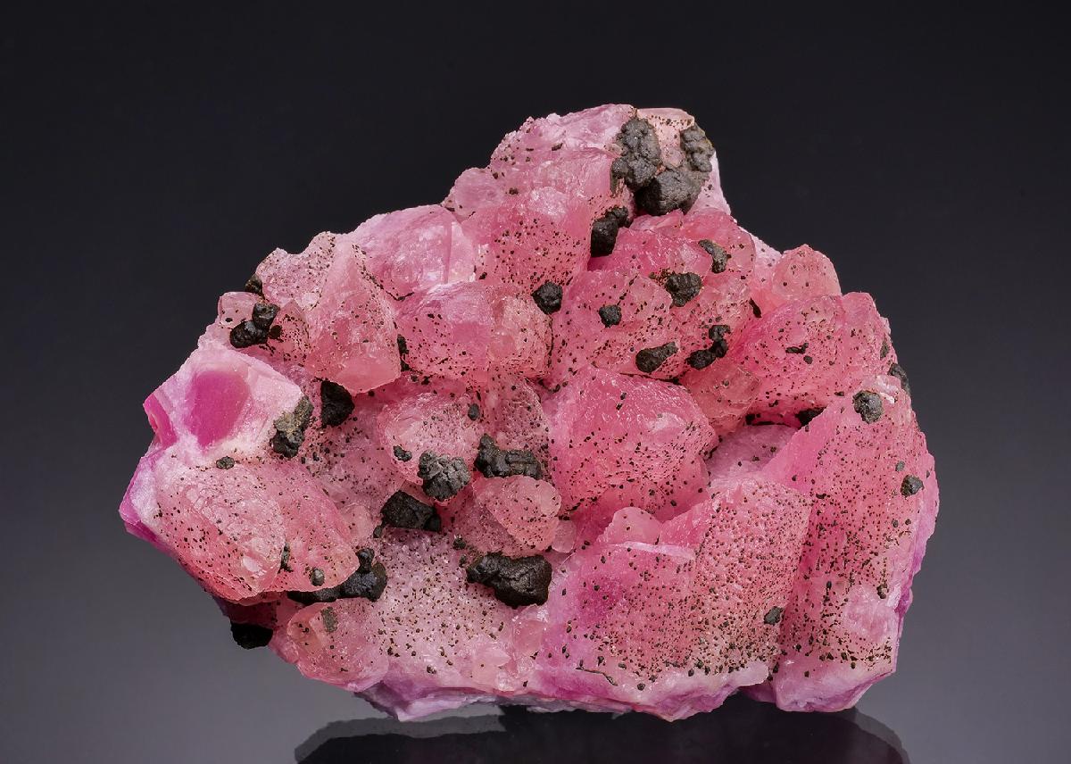 CC64713 specimen image