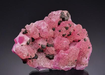 CC64713 specimen image