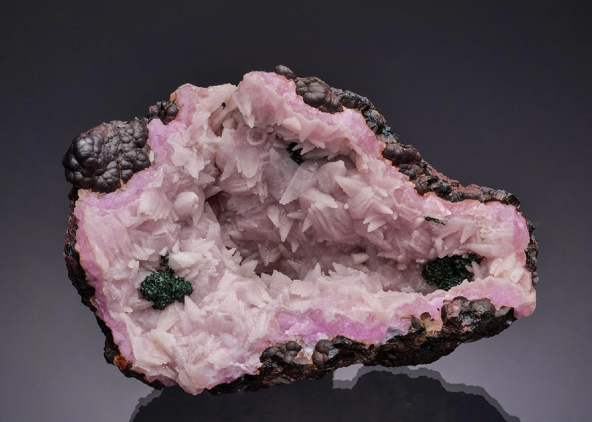 CC64716 specimen image