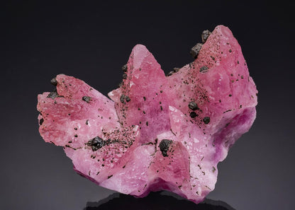 CC64719 specimen image