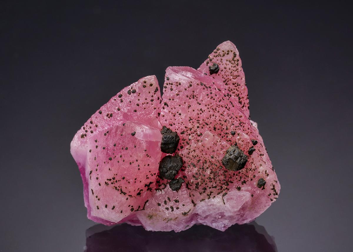 CC64746 specimen image