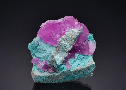 CC64752 specimen image