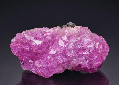 CC64773 specimen image