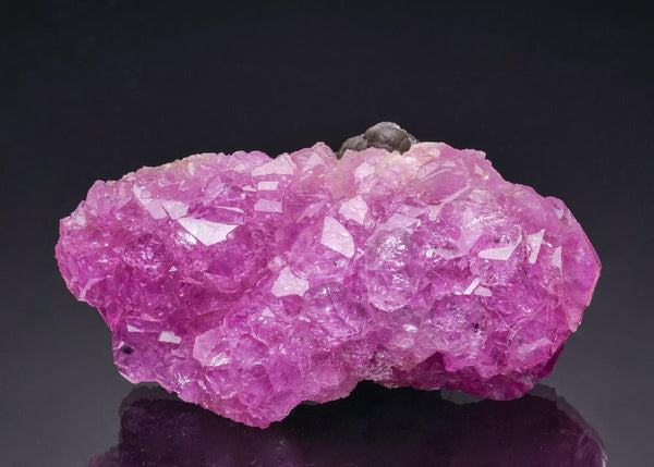 CC64773 specimen image