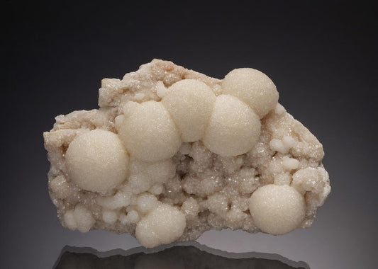 CC6482 specimen image