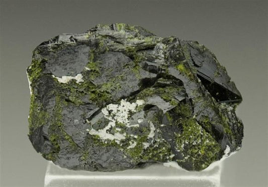 CC6490 specimen image