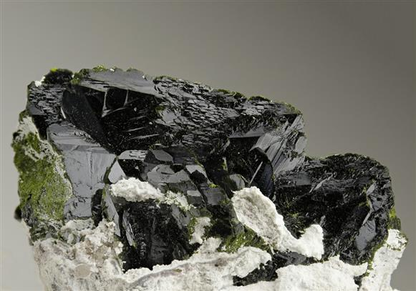 CC6491 specimen image