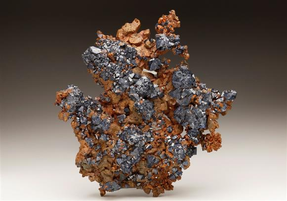 CC6507 specimen image