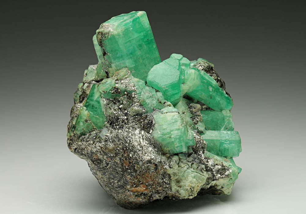 CC6512 specimen image
