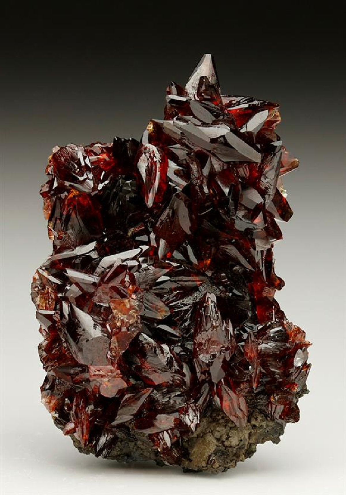 CC6527 specimen image