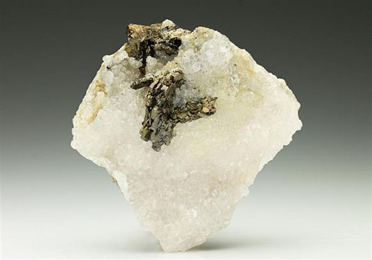 CC6573 specimen image