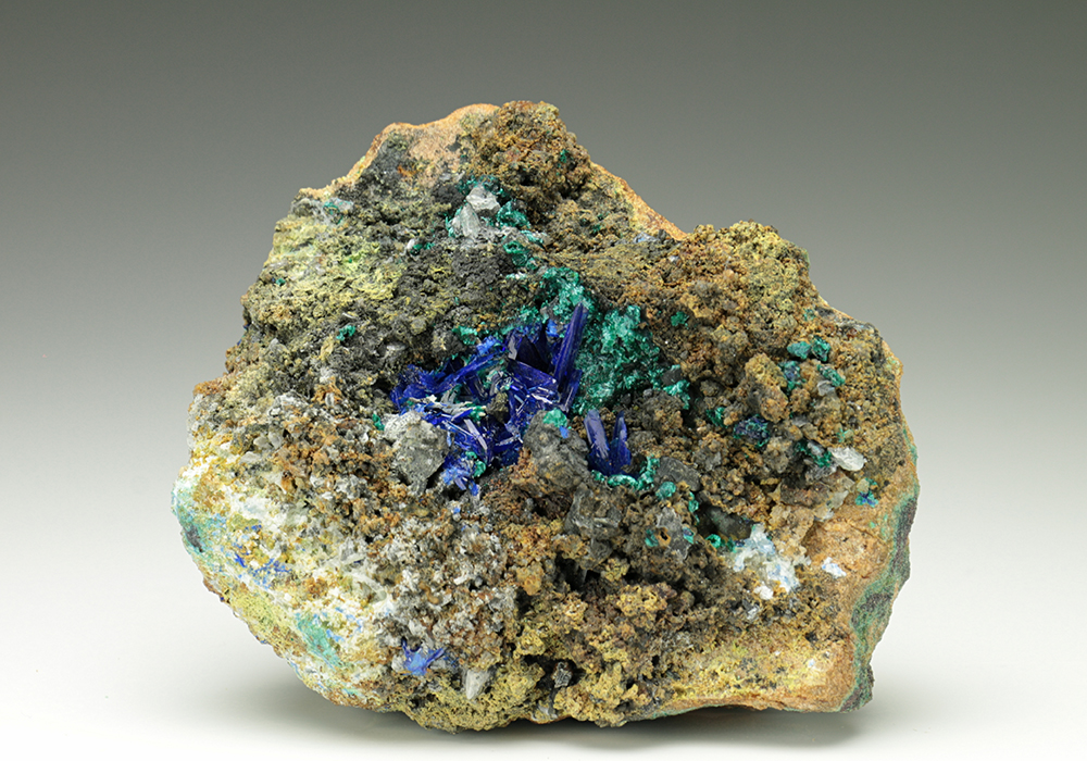 CC6574 specimen image