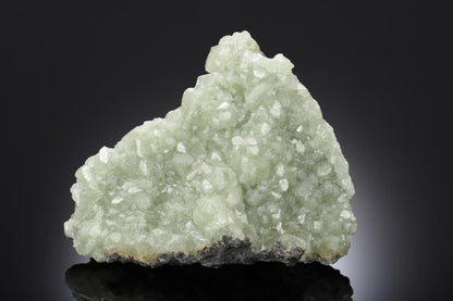 CC6577 specimen image