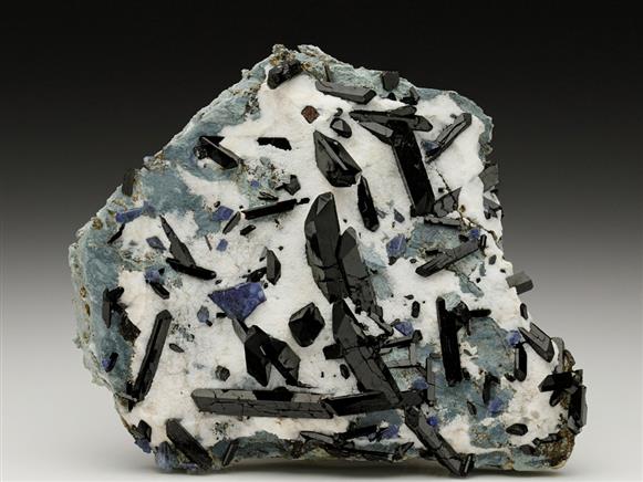 CC6584 specimen image