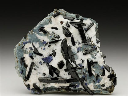 CC6584 specimen image