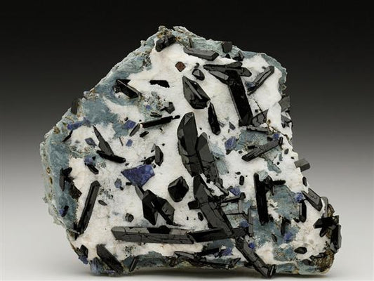 CC6584 specimen image