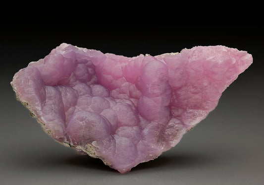 CC6586 specimen image