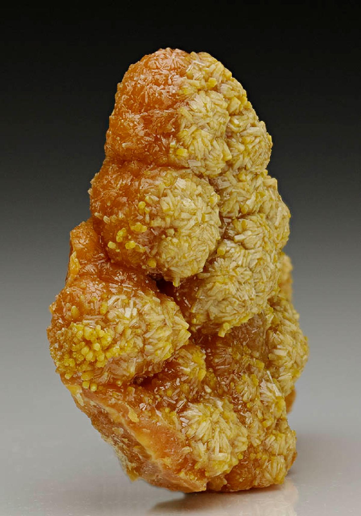CC6591 specimen image