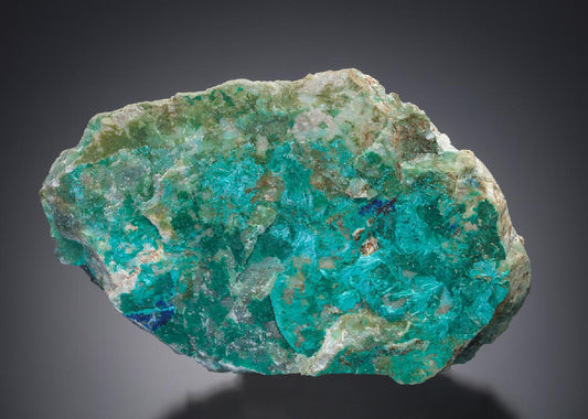 CC6624 specimen image