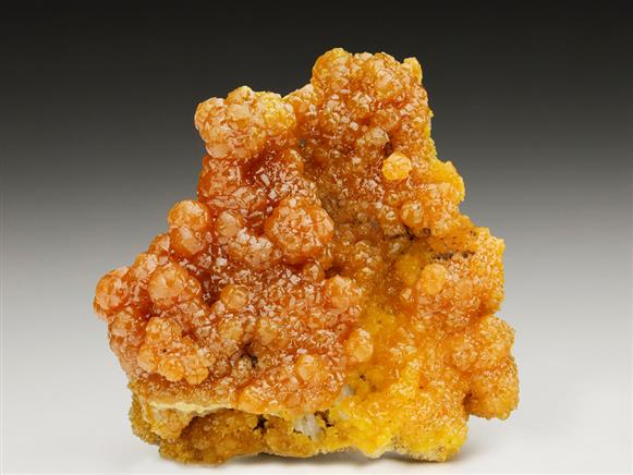 CC6637 specimen image