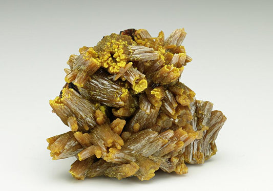 CC6638 specimen image