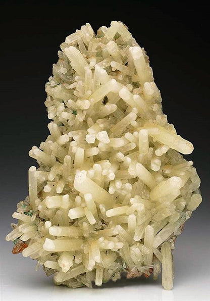 CC6646 specimen image