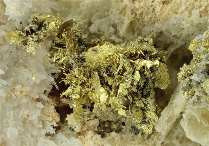 CC6671 specimen image