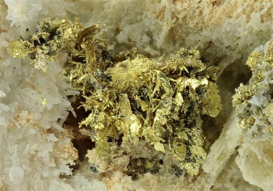 CC6671 specimen image