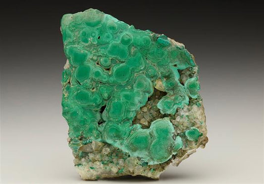 CC6692 specimen image