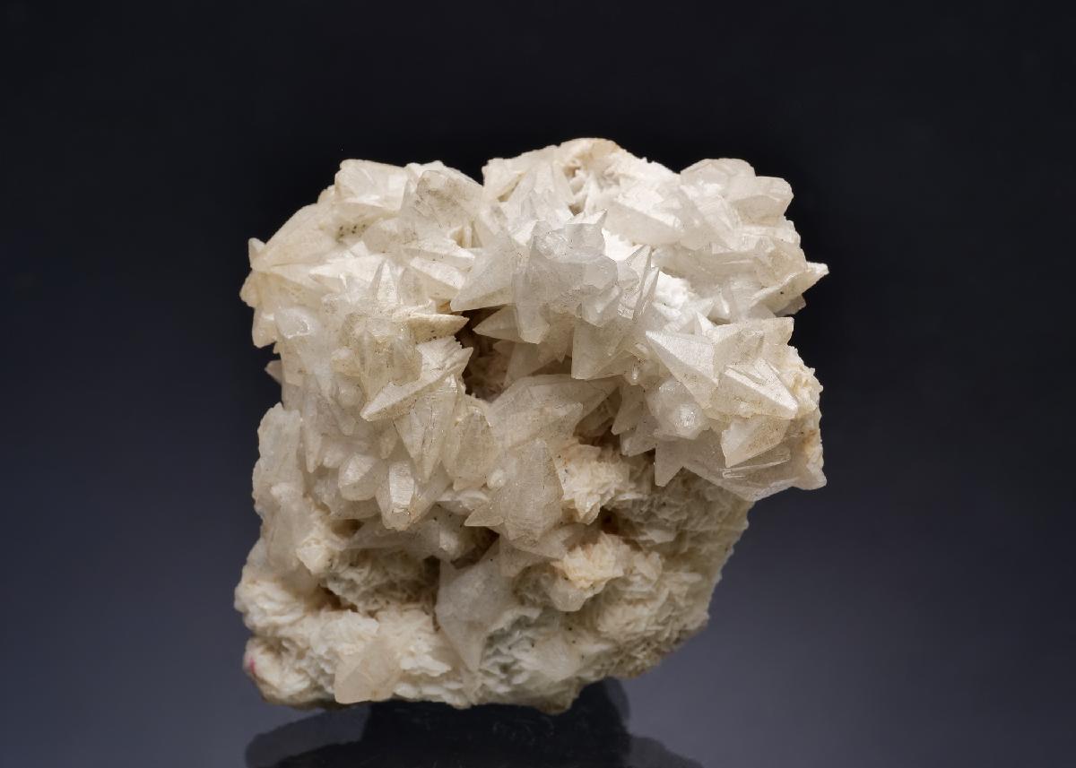 CC6705 specimen image