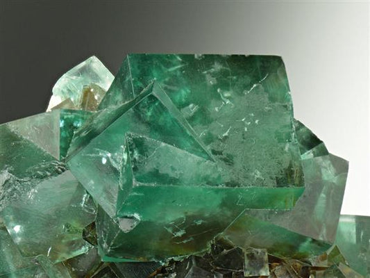 CC6711 specimen image