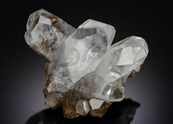 CC6715 specimen image